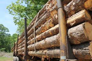 lumber-335231_960_720