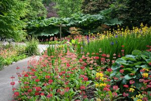 Swansea,_Clyne_Gardens_-_geograph.org.uk_-_185421