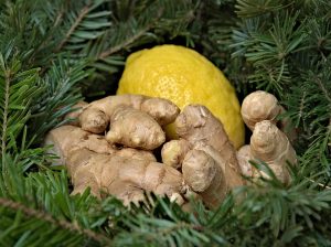 ginger-1928545_960_720